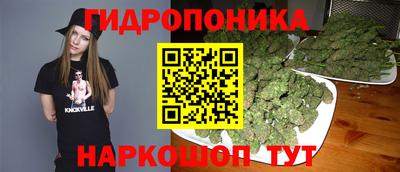 прущие грибы Аргун