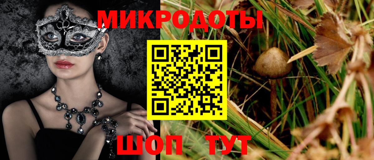 Галлюциногенные грибы мухоморы Будённовск