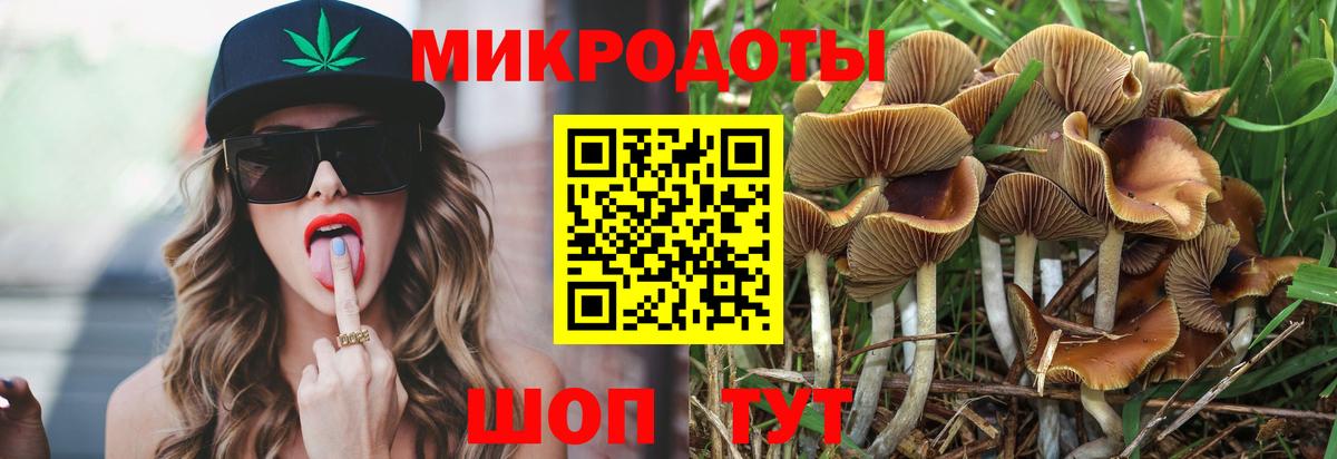 Будённовск  Галлюциногенные грибы GOLDEN TEACHER  где купить наркоту  Вход с VPN  Псилоцибиновые грибы Magic Shrooms 